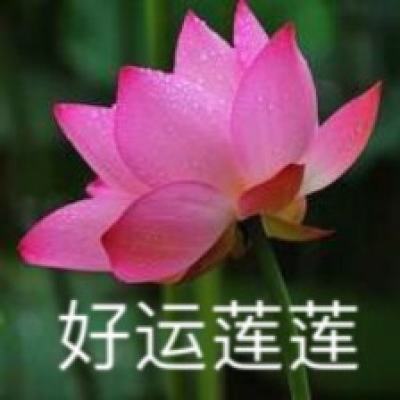 中顺深海捕猎手机版下载